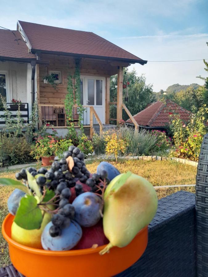 Apartman Civovic Rudnik Eksteriør billede